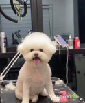 스파그루SpaGroo | 스파그루