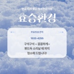 효승환경