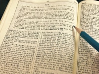 김서정개인과외 | 영어개인과외