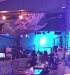 해변콘서트7080라이브