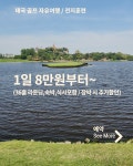 레드망고여행사