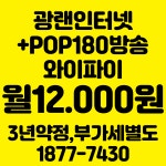 서일네트워크