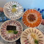 표선어로횟집서귀포시 | 표선 어로횟집 서귀포시본점