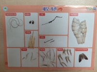하연과학고래힐점과학교습소 | 하연과학 고래힐점 과학교습소