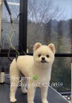 스파그루SpaGroo | 스파그루