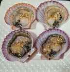 스담이자카세 | 스담 이자카세