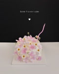 도르르케이크(dorr cake) | 도르르케이크