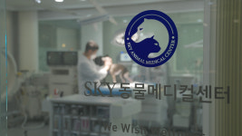 수원 스카이동물메디컬센터