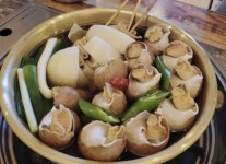 딱조아