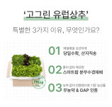 농업회사법인색치원주식회사 | 농업회사법인고그린