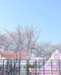 범바위포레스트