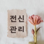 에브리바디스킨