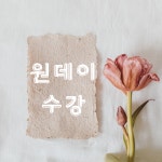 에브리바디스킨
