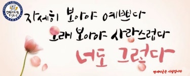 연세이글삼우태권도 | 연세이글태권도