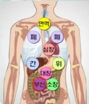 서천체형교정원 | 주용탁체형교정원