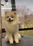 스파그루SpaGroo | 스파그루