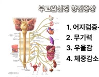 서천체형교정원 | 주용탁체형교정원