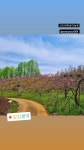 산도화복숭아농원