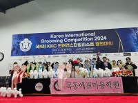 목동애견미용학원