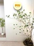 (주)피우커뮤니케이션즈 | 피우