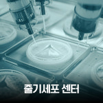비에치크리닉 의원 | 셀리닉의원
