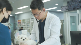 수원24시스카이동물메디컬센터 | 천안24시스카이동물메디컬센터