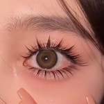 후기