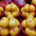 꼬마청과