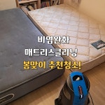 비치움제주성산점 | 비치움