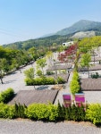 구미정송하관광농원 | 171 관광농원