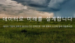 디노컴퍼니
