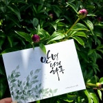 그리봄캘러리카페 | 늘봄캘리그라피