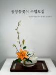 키레이플라워고움 | 키레이플라워