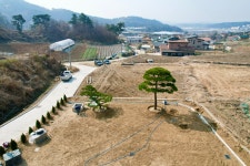 신부솔농원조경