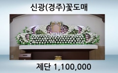 곰나루화훼유통 | 신광꽃도매