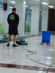 오투클린