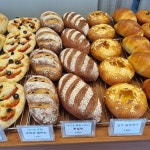 브레드 팜(Bread Farm) 빵농장고성점 | 팜인브레드