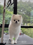 스파그루SpaGroo | 스파그루