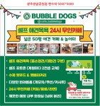 버블독스광주일곡점 | 버블독스 광주쌍암공원점