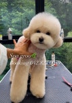 스파그루SpaGroo | 스파그루