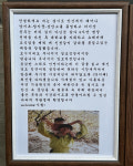문화항공여행사주 | 문화주점사월