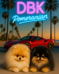 포메라니안켄넬DBK댕복궁 | 포메라니안켄넬 DBK