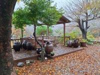 지리산추성골흑염소전문식당