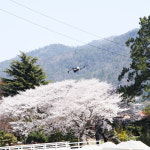 드림유스튜디오