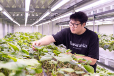 아싸라비아가요주점 | 와싸라비아
