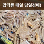 노량진수산시장복띵이수산1대게킹크랩 | 노량진수산시장 복띵이수산3 대게킹크랩전문점