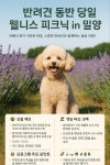 유한회사 설레임여행사 | 설레임여행사
