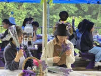 유한회사 설레임여행사 | 설레임여행사