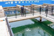 해원바다낚시터