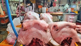 성심식육판매장 | 성심축산